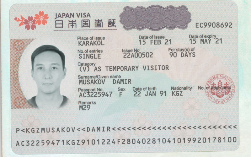 Сложное редактирование документа — после обработки